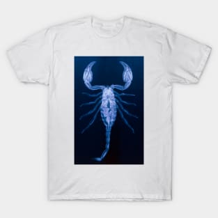 X-ray of the scorpion, Palamnaeus fulvipes (Z420/0010) T-Shirt